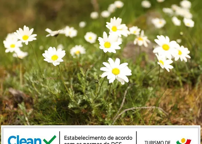 شاليه Cota 1500 - Chale 32 - Penhas da Saúde