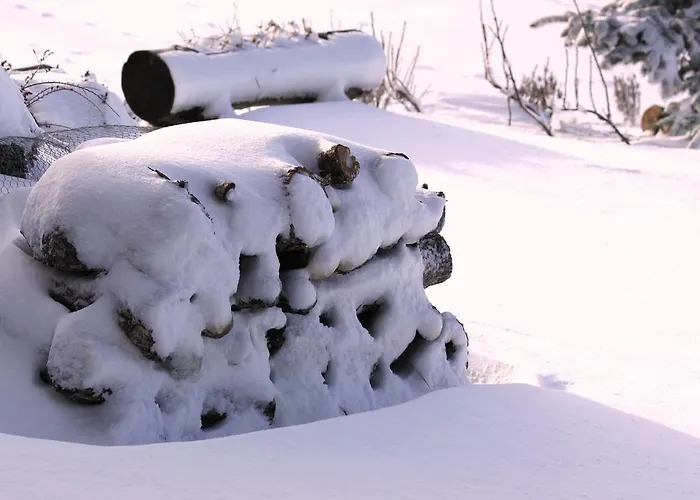 Cota 1500 - Chale 32 - * Penhas da Saúde